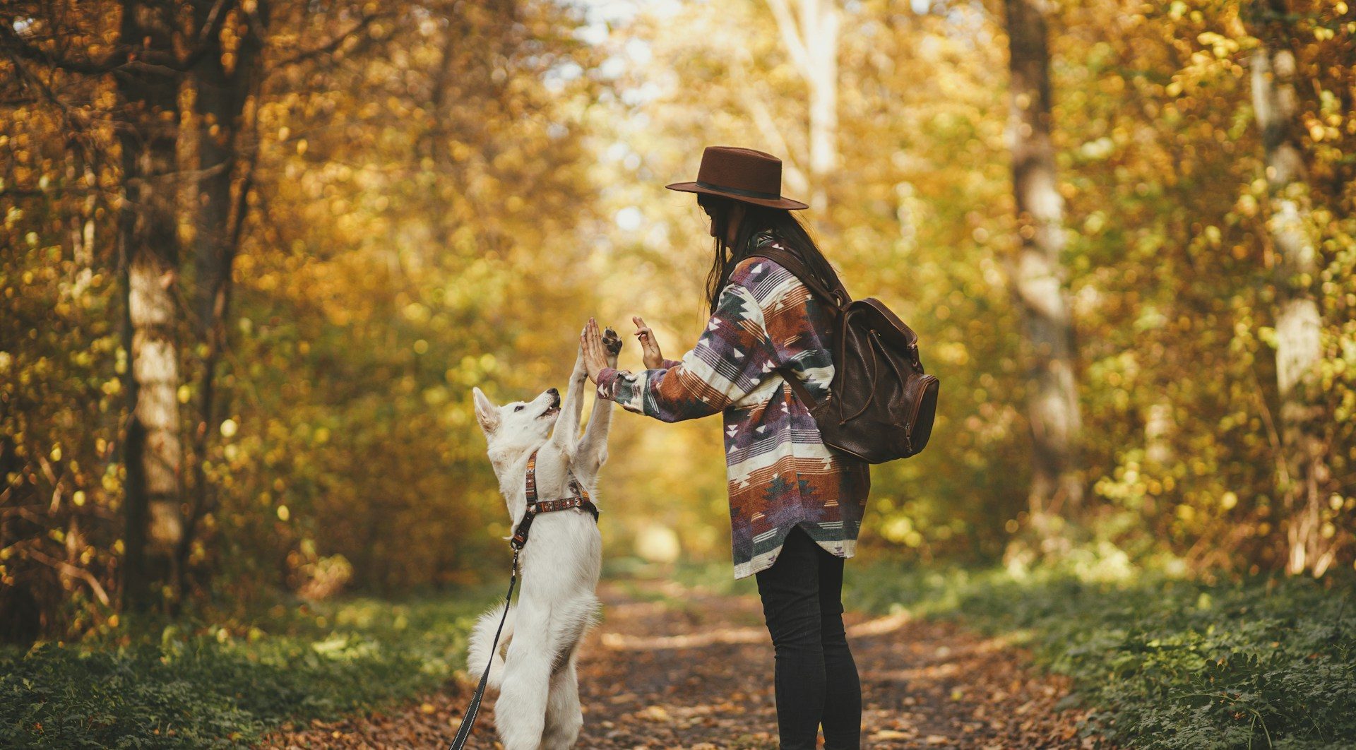 How to Travel with Your Pet as a Solo Female Traveler